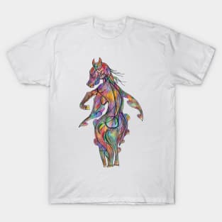 Girl with horse T-Shirt